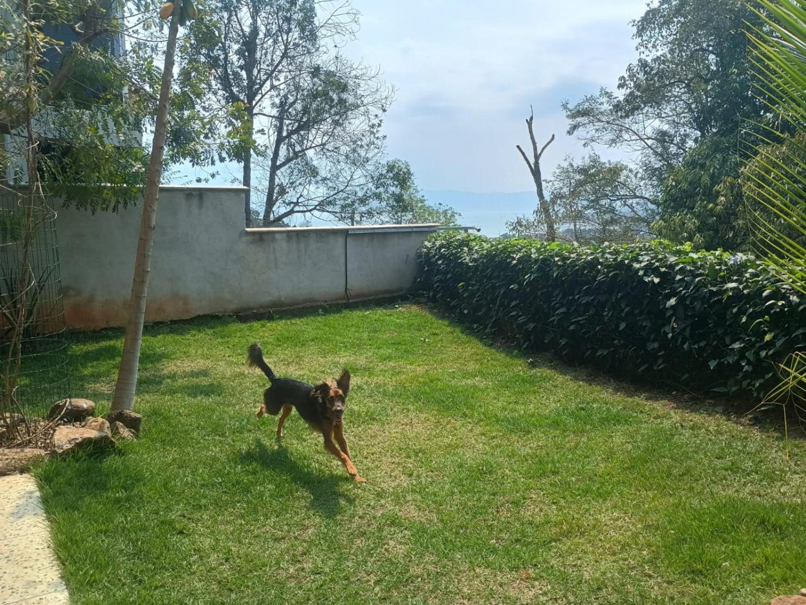 Apartment Flat Miramare Ap